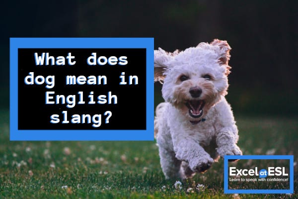 what-does-dog-mean-in-english-slang-excel-at-esl