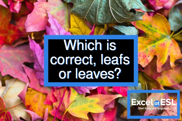 Which is correct, leafs or leaves?